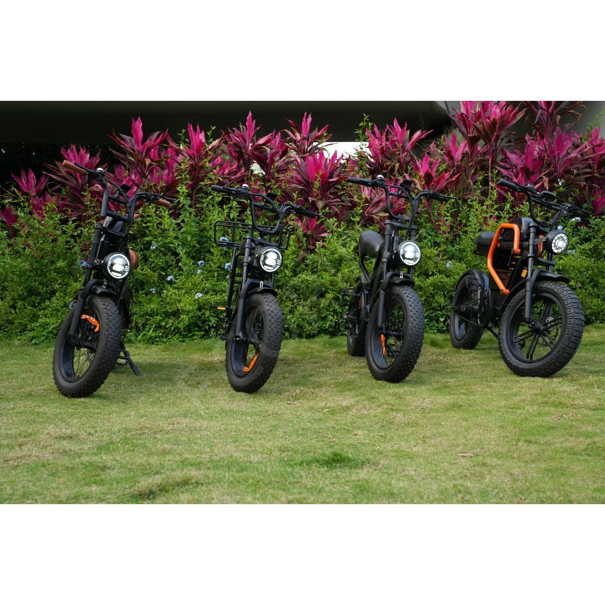 60V 20Ah WideTire Electric Mot - Commuting With Road Bike 评论和价格