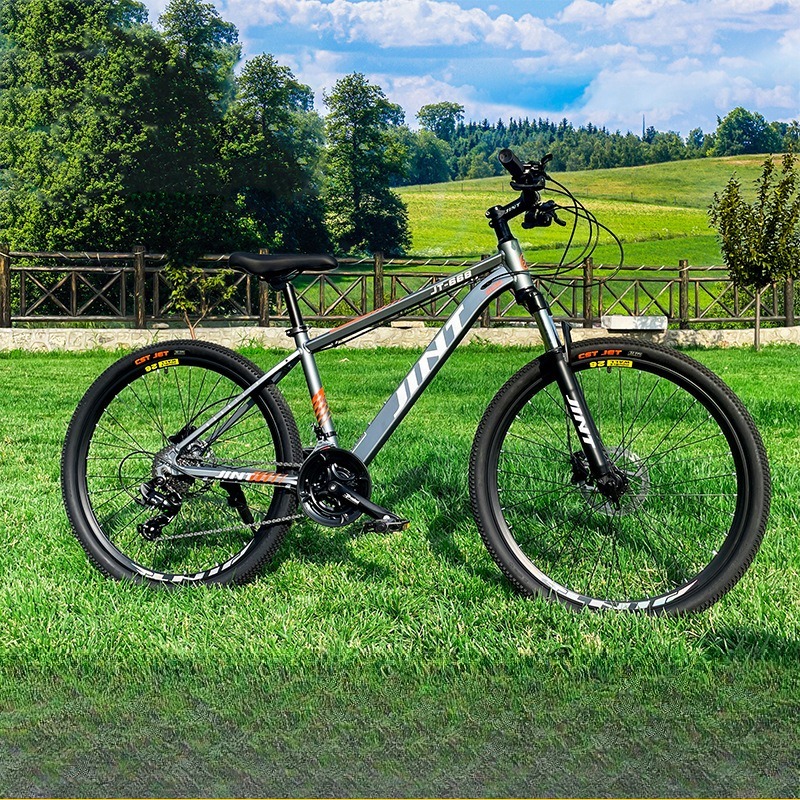 Wholesale Aluminum Alloy 26 In - Commuting With Road Bike 评论和价格